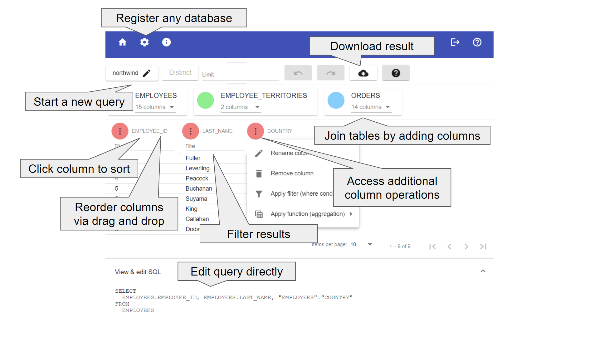 Features of the Query Editor